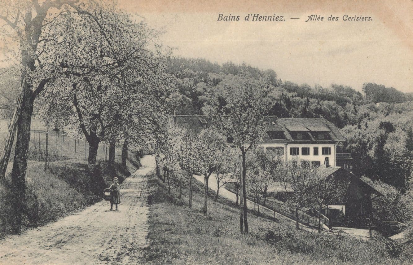 Bains D'Henniez Allee Des Cerisiers Antique French Postcard