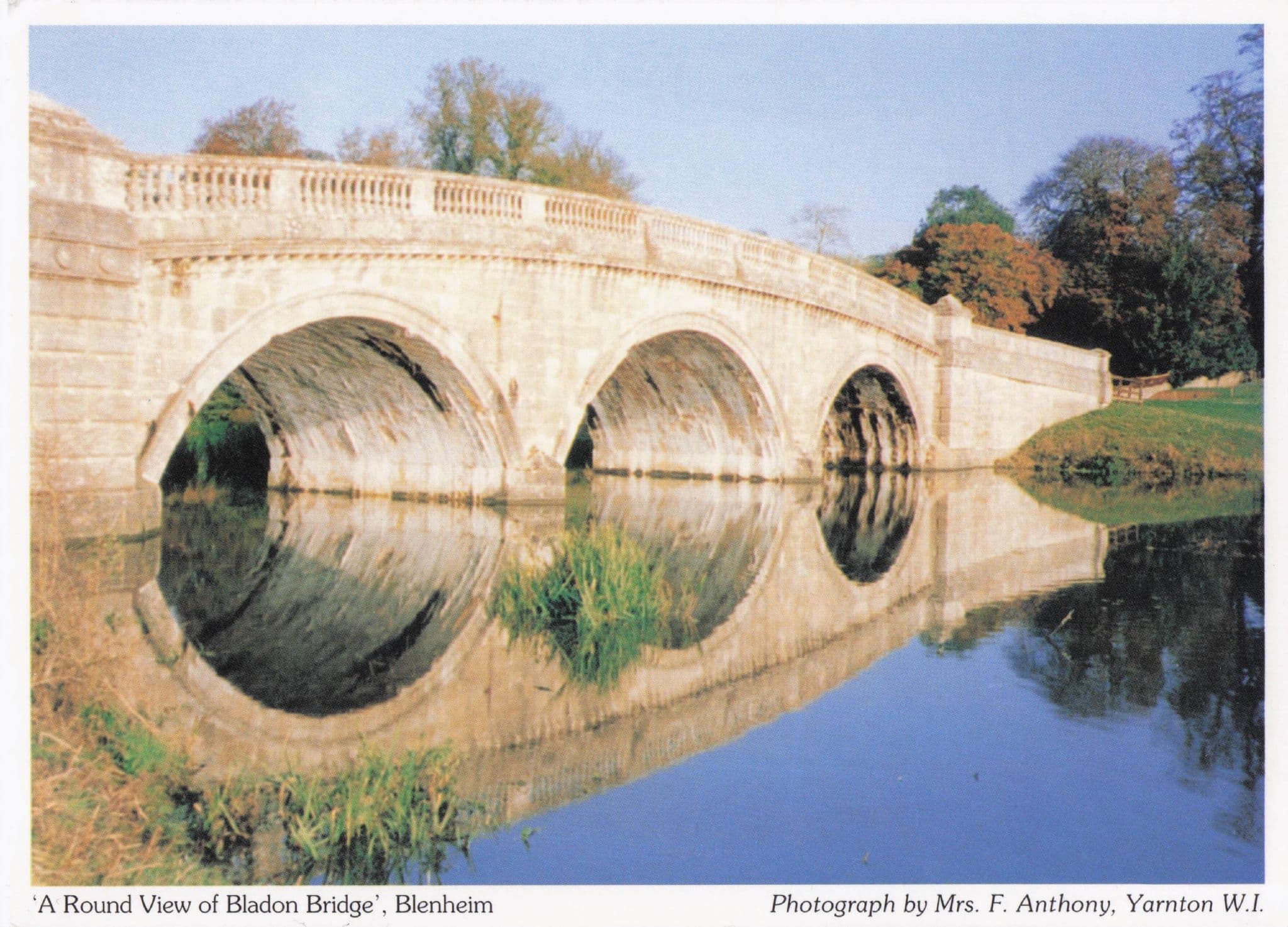 Balddon Bridge Blenheim River Reflections Oxford Women's Institute Postcard