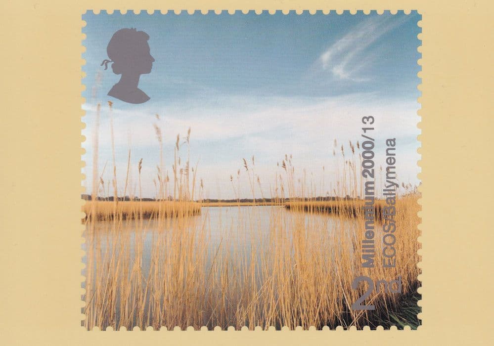 Ballymena River Harvest Gold Plants Limited Postcard