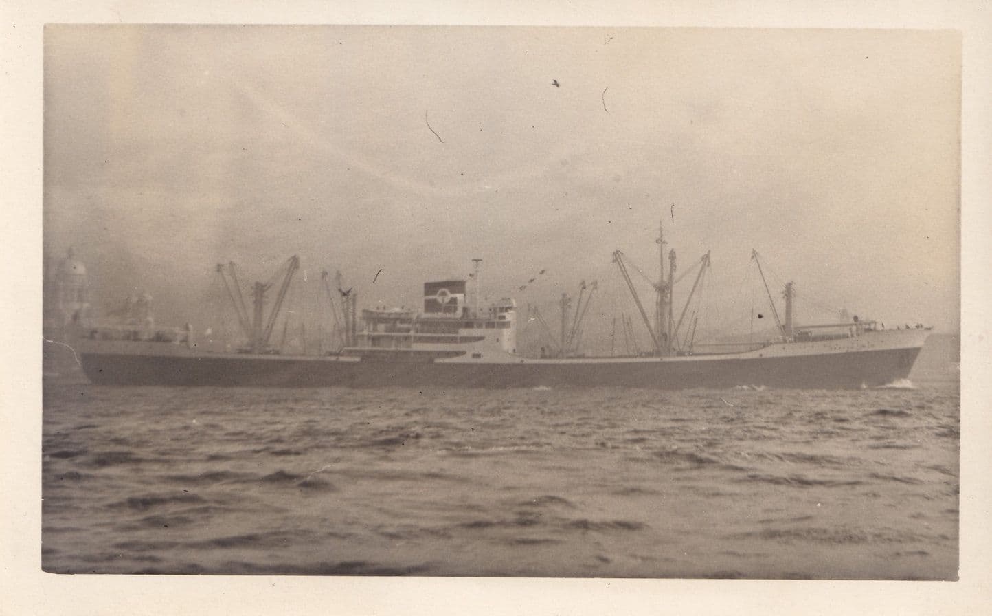 Bamenda Palm Badagry Line Ship Plain Back Postcard Photo