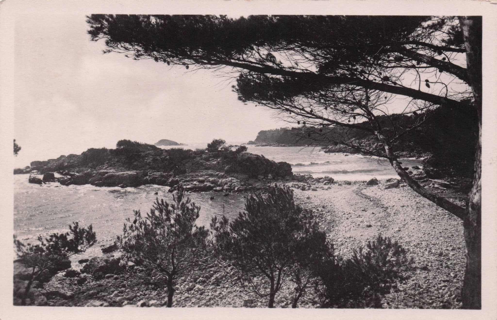 Bandol Sur Mer Le Capelan E L'Ile Rouse French RPC Mint Postcard