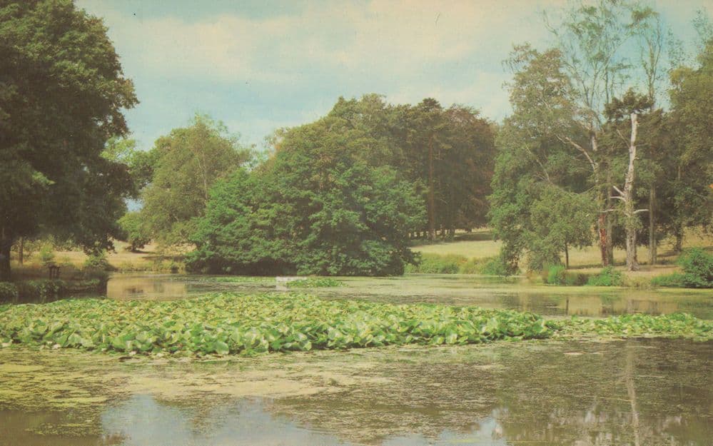 Barclay Park Hoddesdon Hertfordshire 1970s Postcard