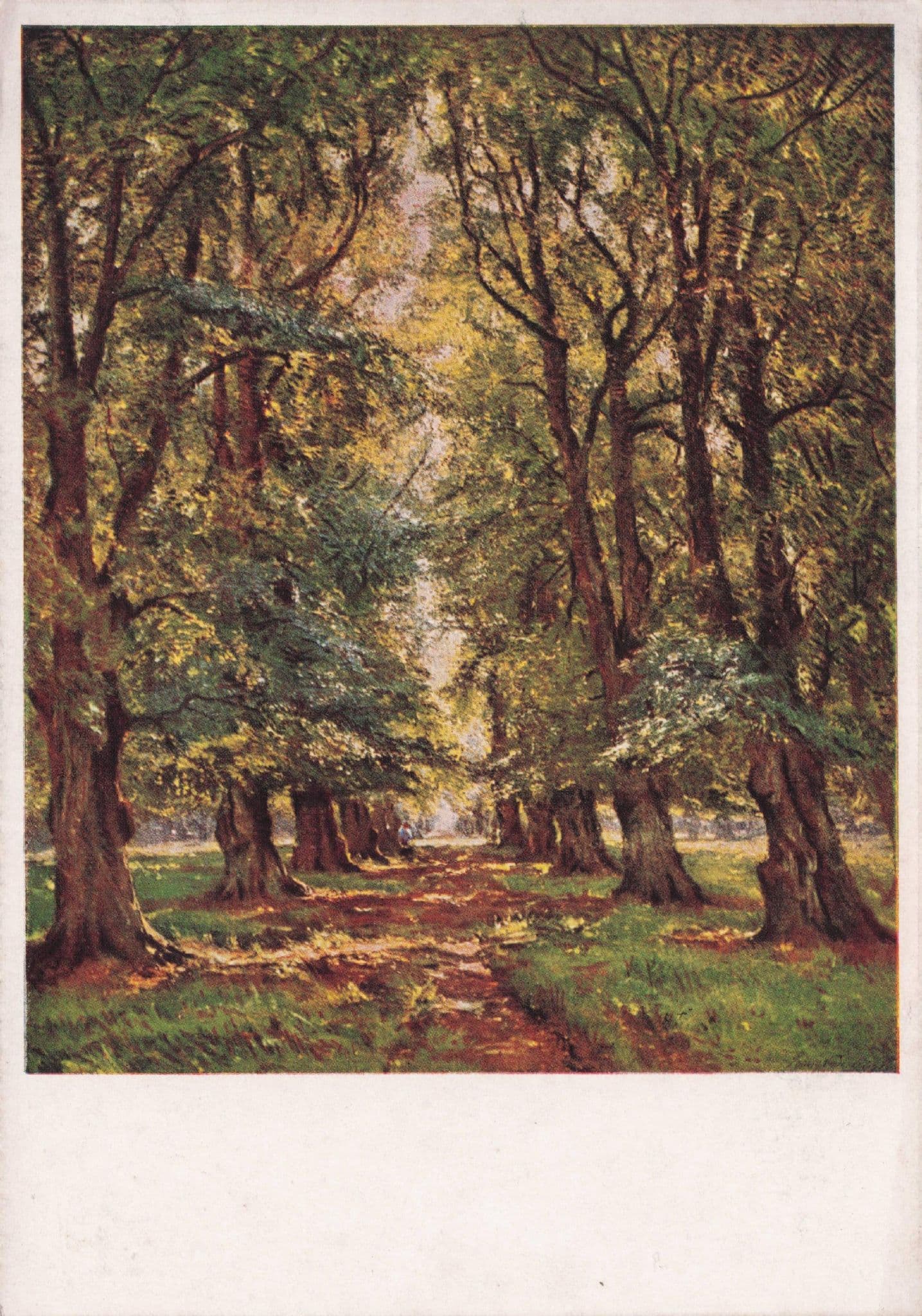 Baron Courtens Zonnige Dreef Dreve Ensoleillie Painting Postcard