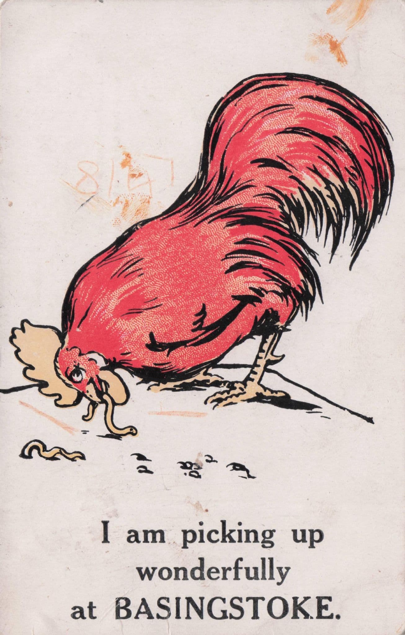 Basingstoke Hampshire Farm Hen Old Comic Postcard