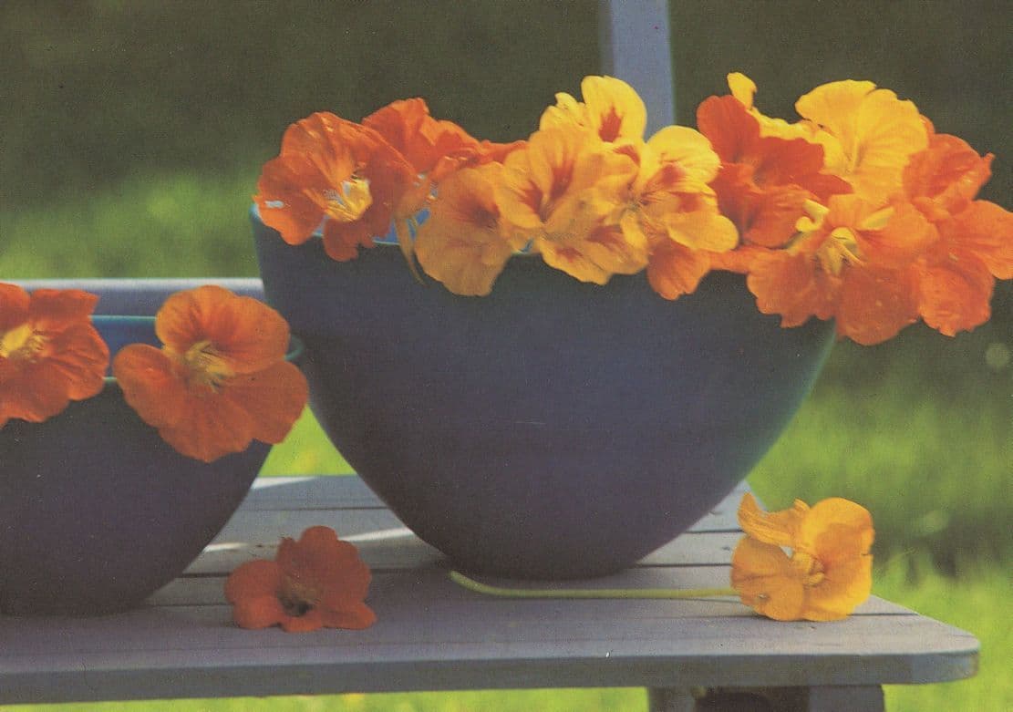 BBC Homes & Antiques Show Programme Advertising Postcard