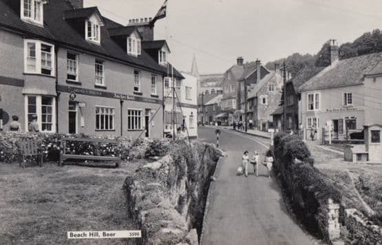 Beach Hill Beer Tea Rooms Anchor Pub Vinage Postcard