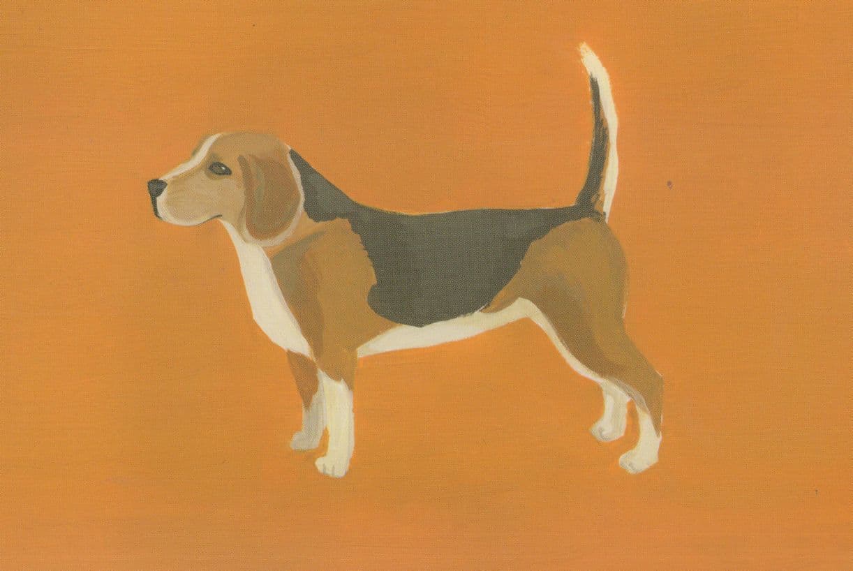 Beautiful Beagle Dog Painting Postcard