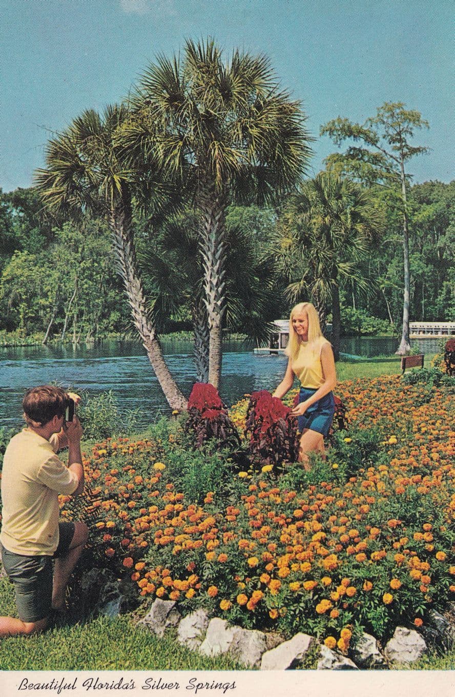 Beautiful Floridas Silver Springs 1970s Camera Photographer Postcard