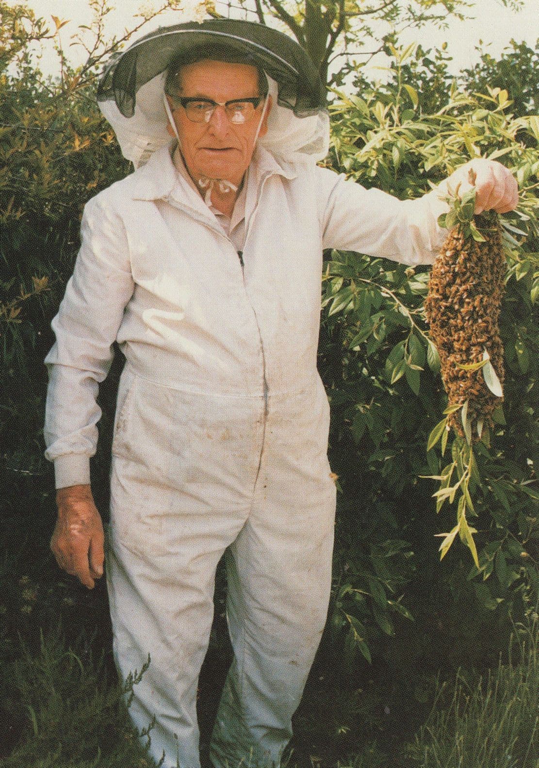 Beekeeping Owner Beekeeper at 4lb Bee Hive Swarm Bees Postcard