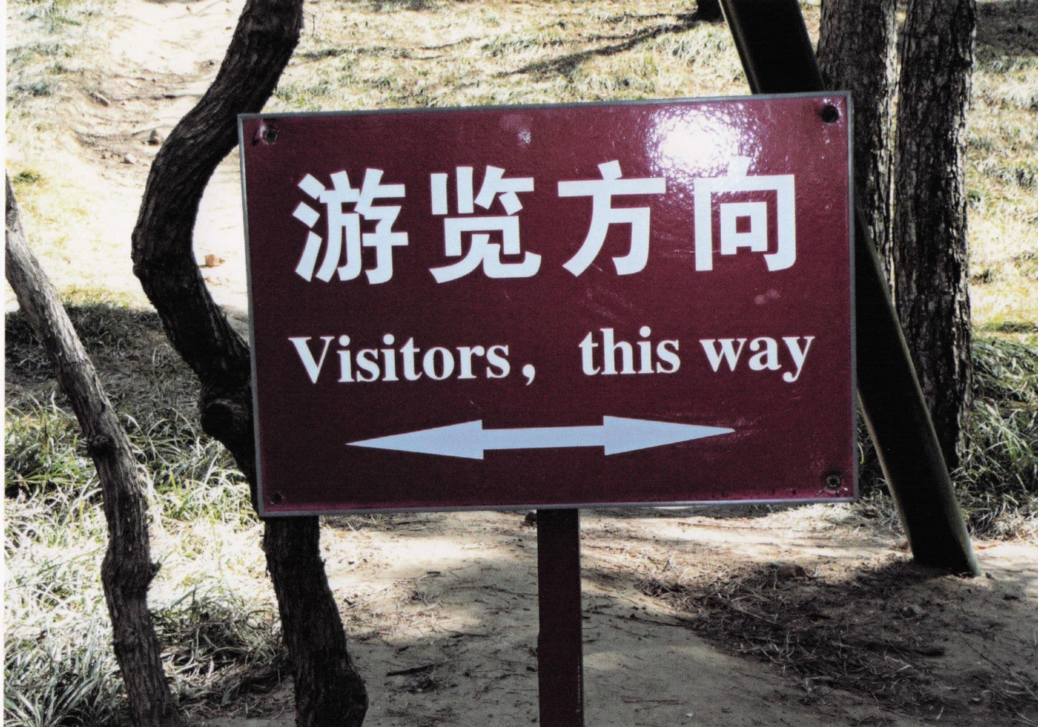Beijing Tourists Chinese Magical Mystery Tour Asian Comic Road Sign Postcard
