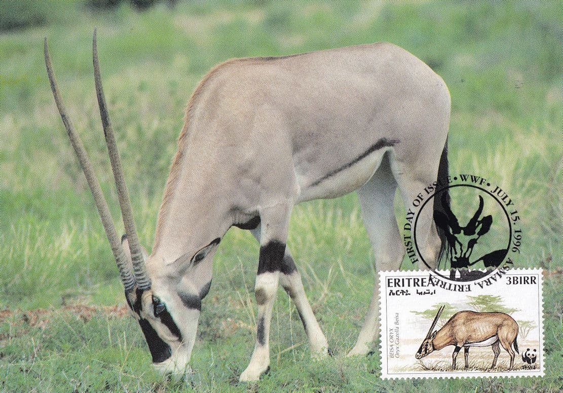 Beisa Oryx Antelope Eritria WWF Stamp First Day Cover Postcard