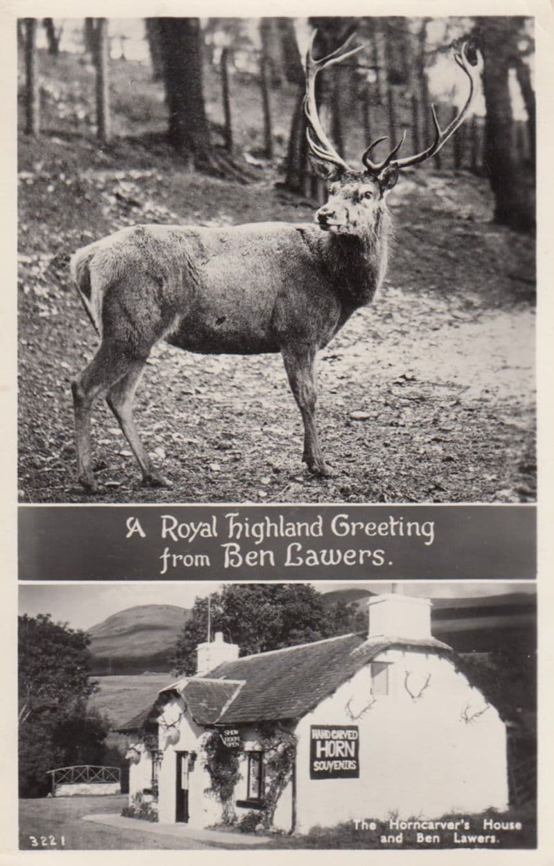 Ben Lawers Highland Deer Horncarvers Pub Real Photo Scottish Greetings Postcard