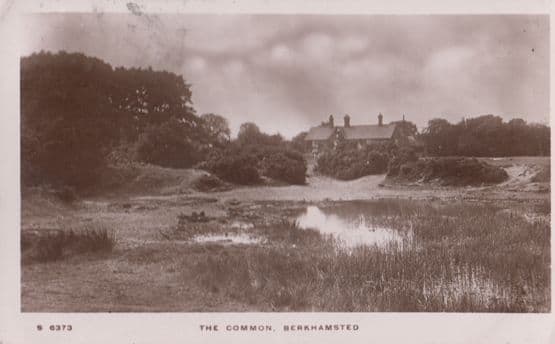 Berkhamsted Herts The Common Farm House 1914 WW1 Wartime Real Photo Postcard
