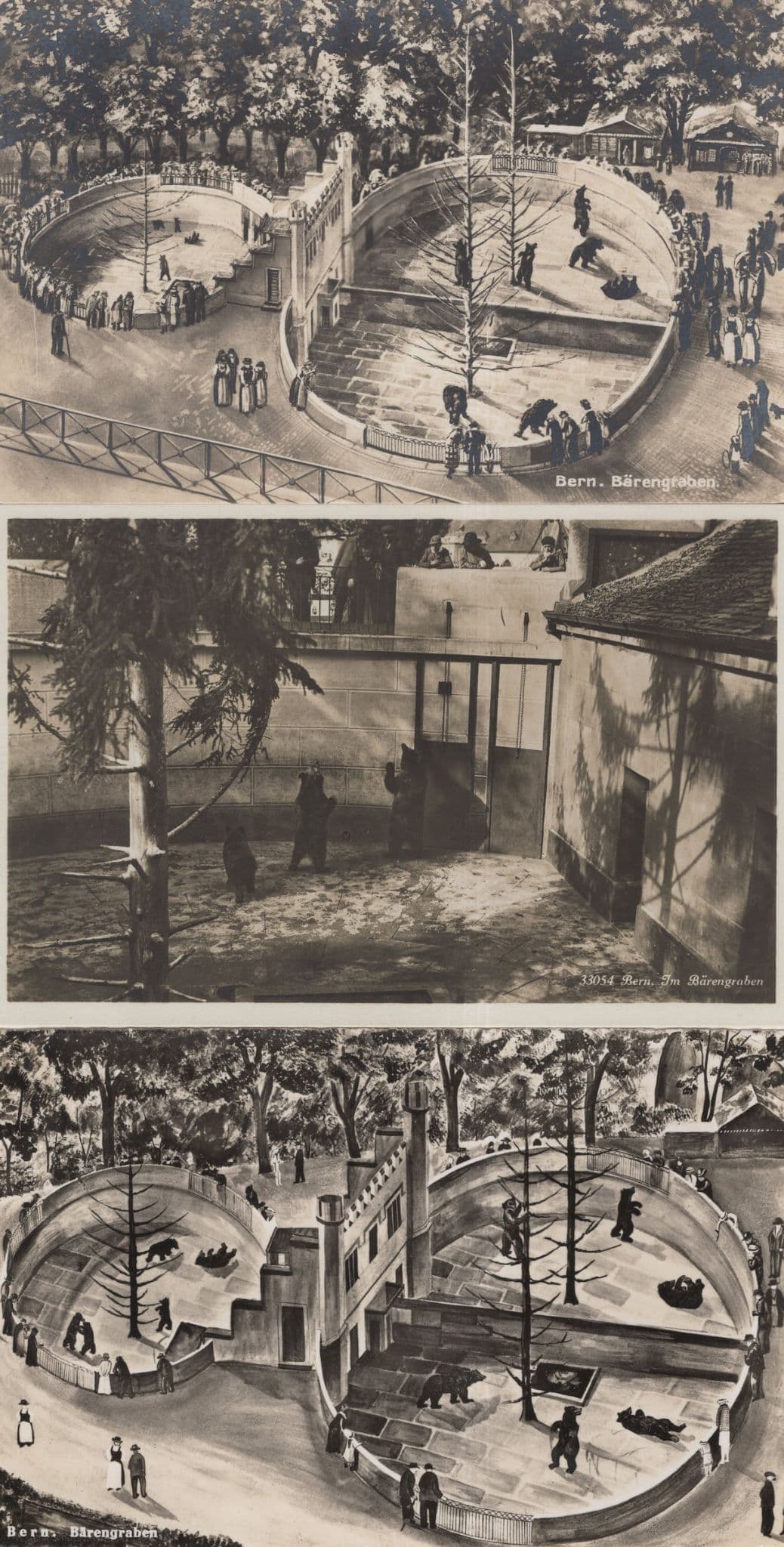Bern Barengraben Bear Zoo 3x Old Switzerland Postcard s