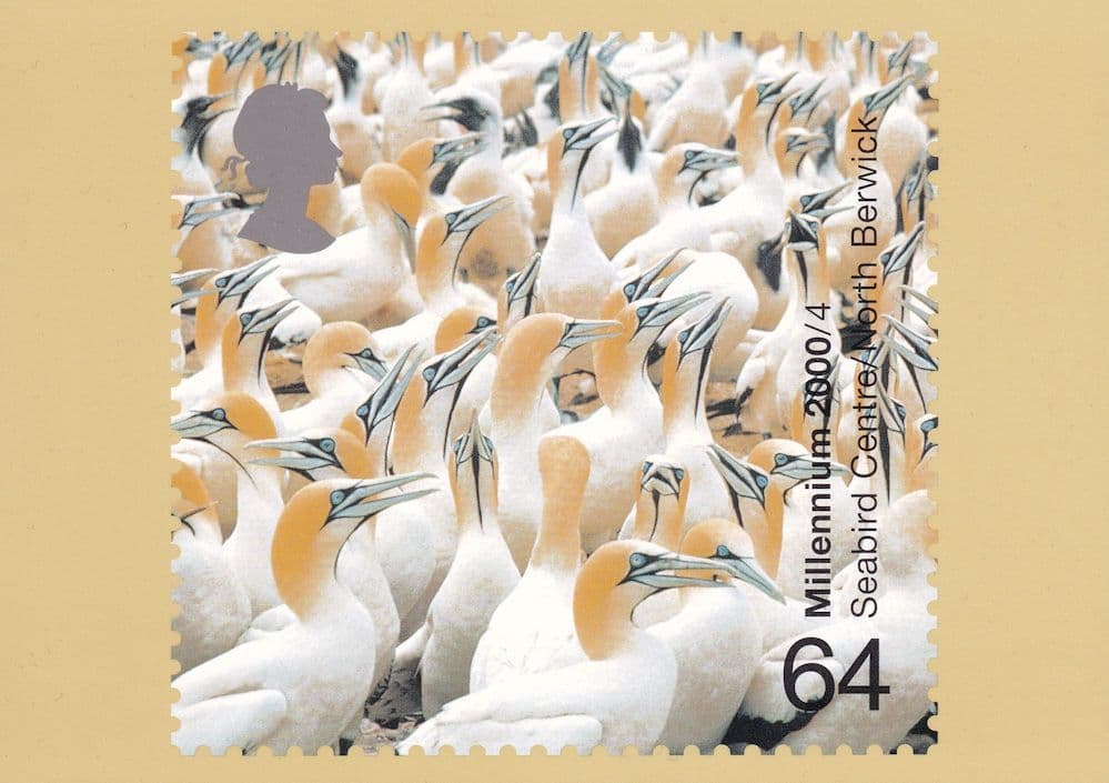 Berwick Seabird Bird Centre Royal Mail Limited Postcard