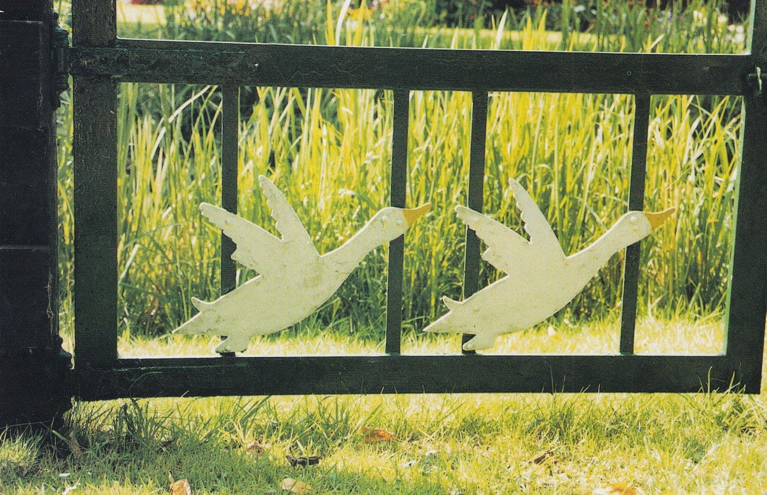 Beware Ducks Crossing at Ludham Rare Norfolk Village Postcard