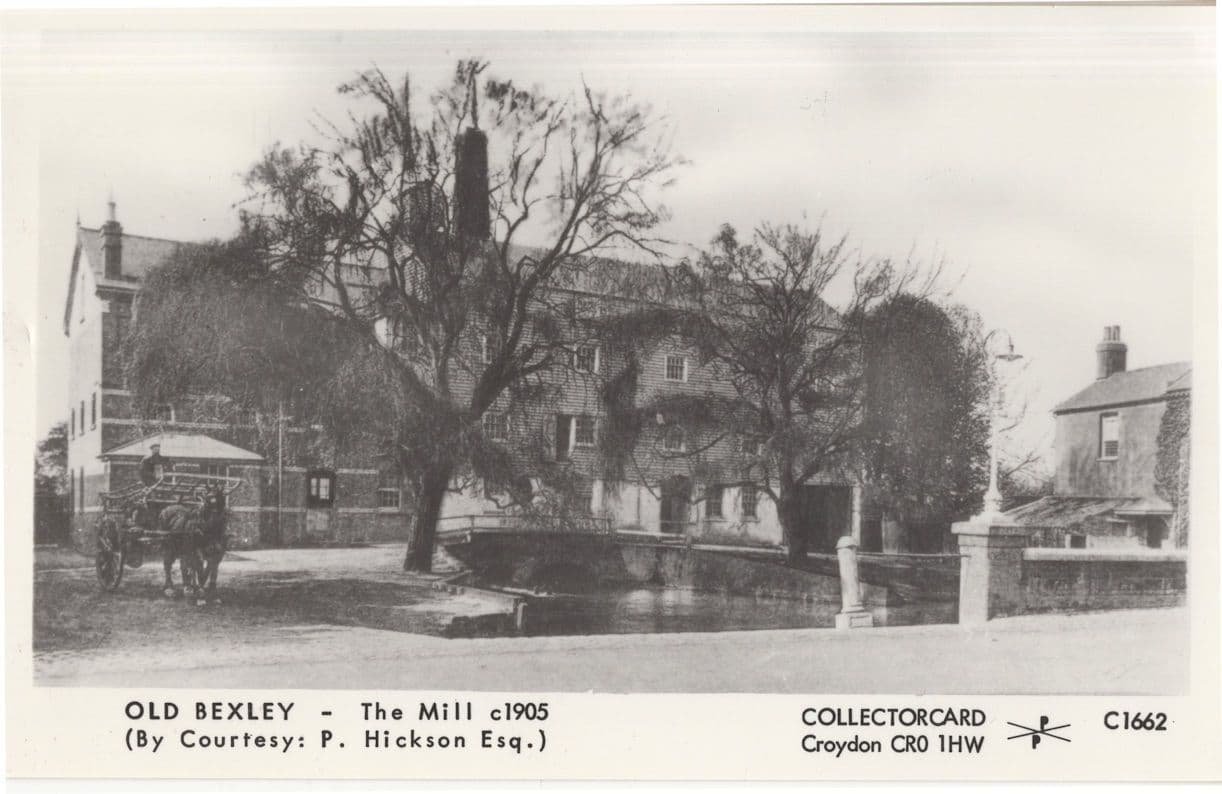 Bexley Kent Mill in 1905 Rare Repro Real Photo Postcard