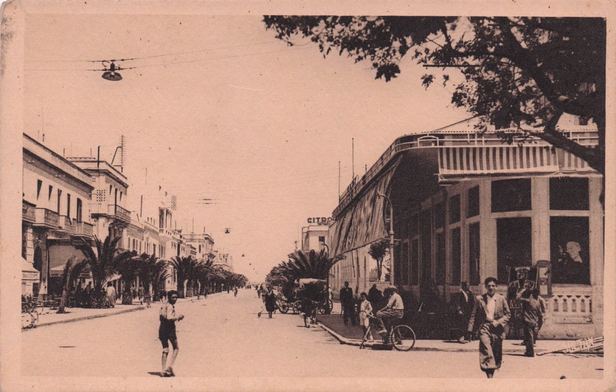 Bicycles at Avenue Krantz Tunisia Africa Old Postcard