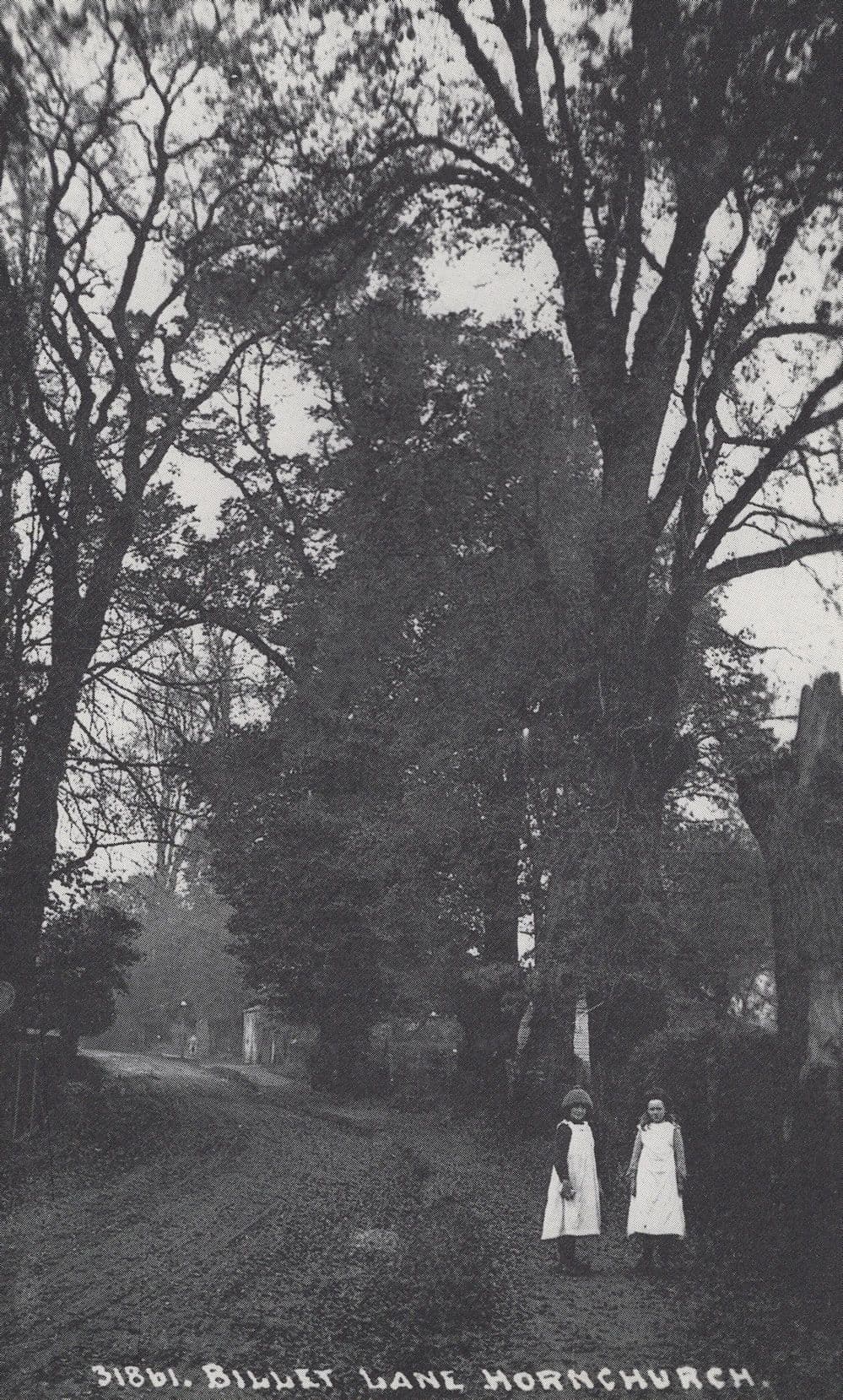 Billet Lane Hornchurch Essex in 1910 Postcard