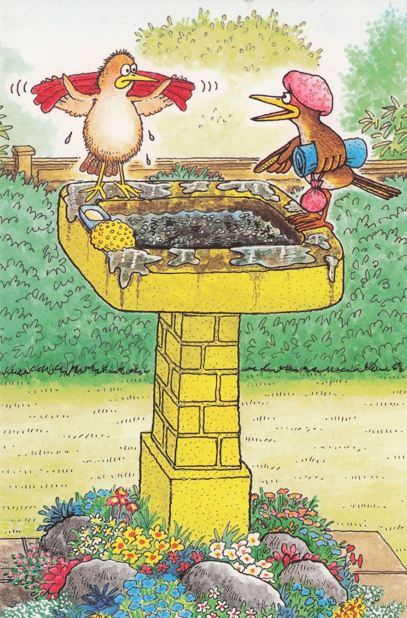 Bird Droppings Poos in Garden Tray Angry Birds Comic Postcard
