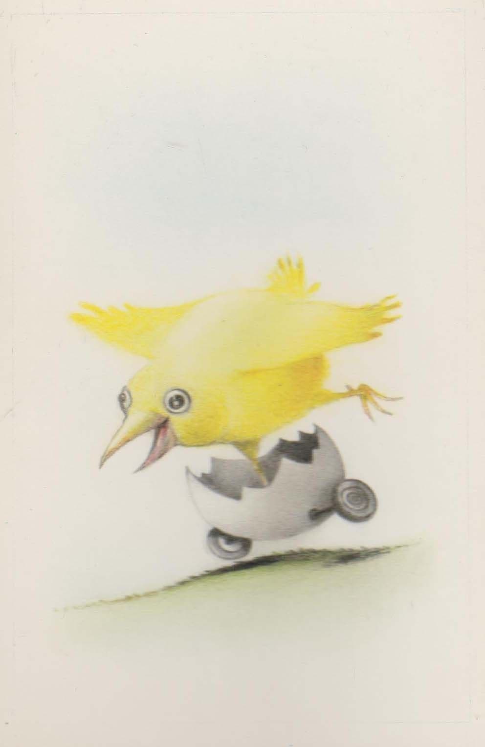 Bird On A Cracked Egg Skateboard Riding Comic Postcard