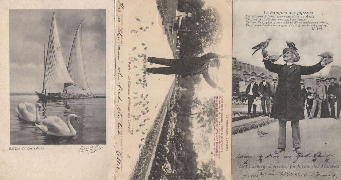 Birds Eating Mans Nose The Bird Charmer 1904 3x Old French Postcard s