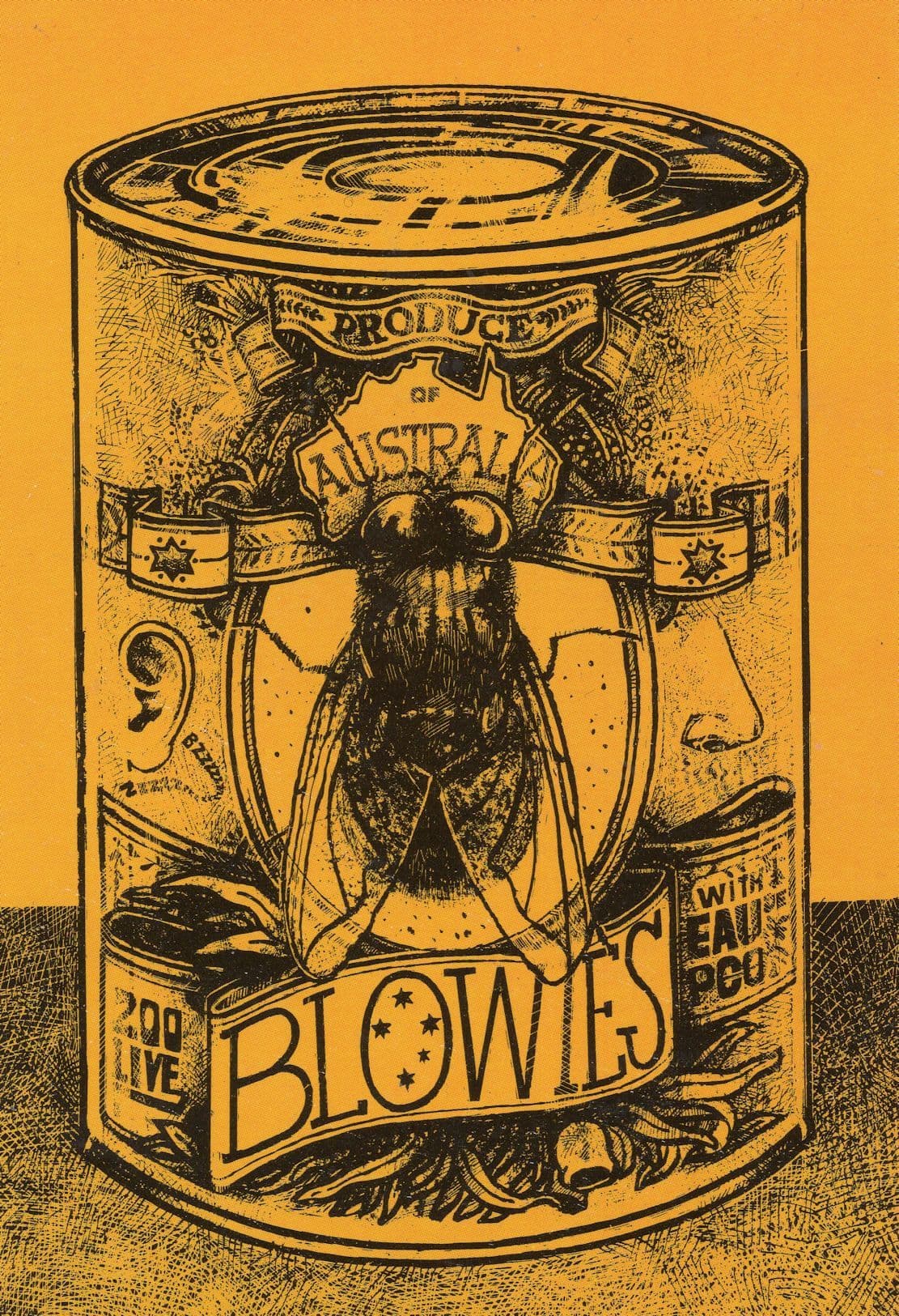 Blowies Live Flies Fly Fish Bait Poo Food Comic Australian Postcard