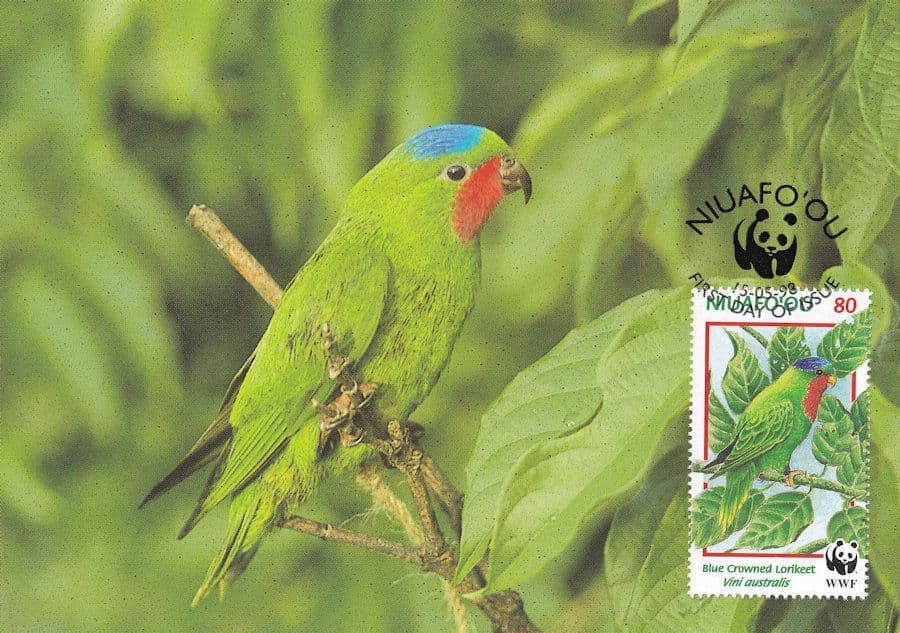 Blue Crowned Lorikeet Niuafoou Tonga Bird Rare WWF Stamp FDC Postcard
