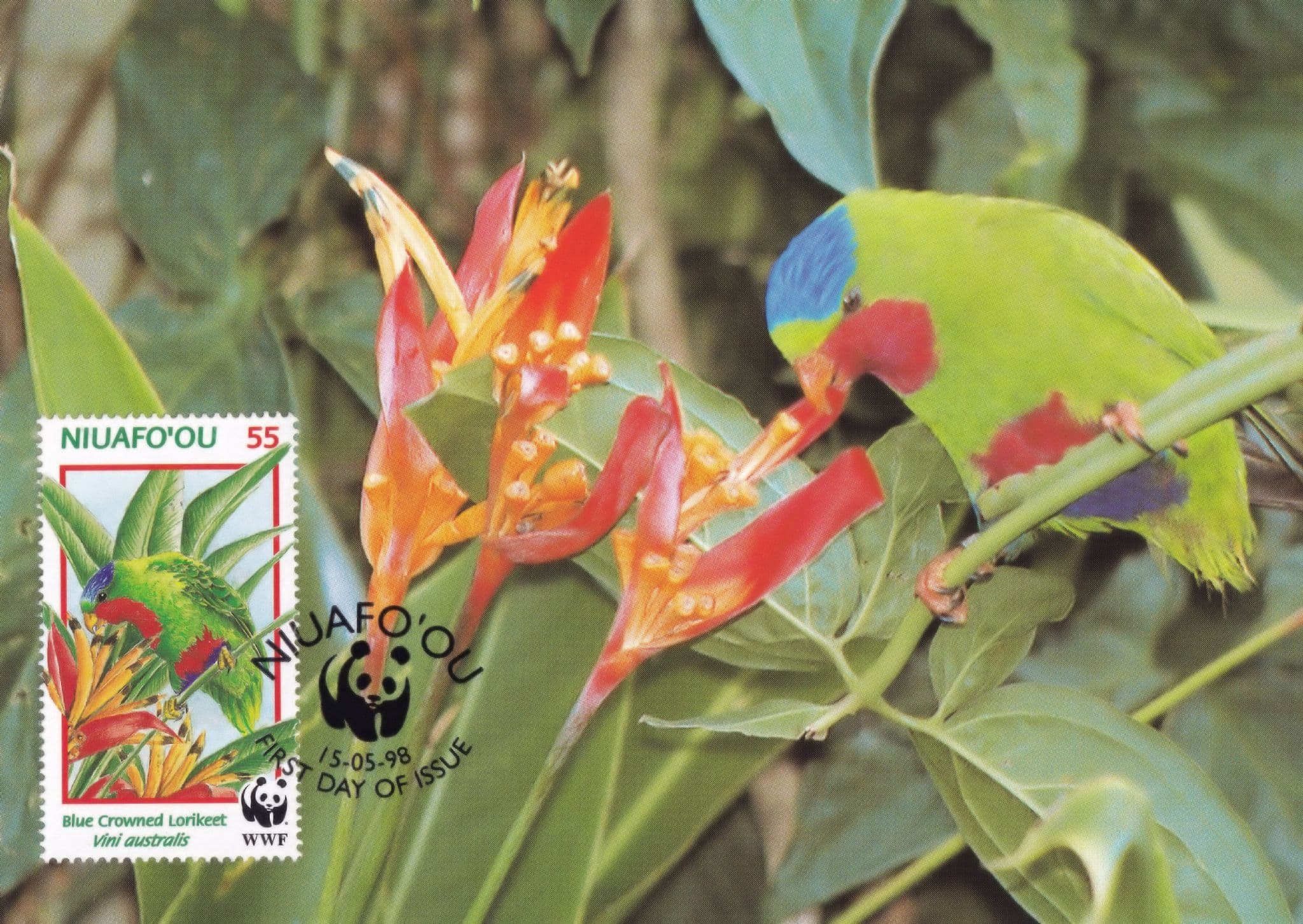 Blue Crowned Lorikeet Niuafoou Tongan Bird WWF Ltd Stamp FDC Postcard