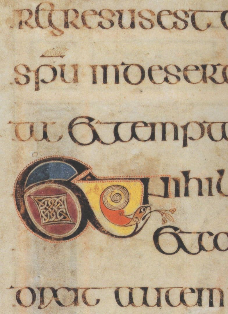 Book Of Kells Crosses Fills The Bowl St Lukes Gospel 204R Postcard