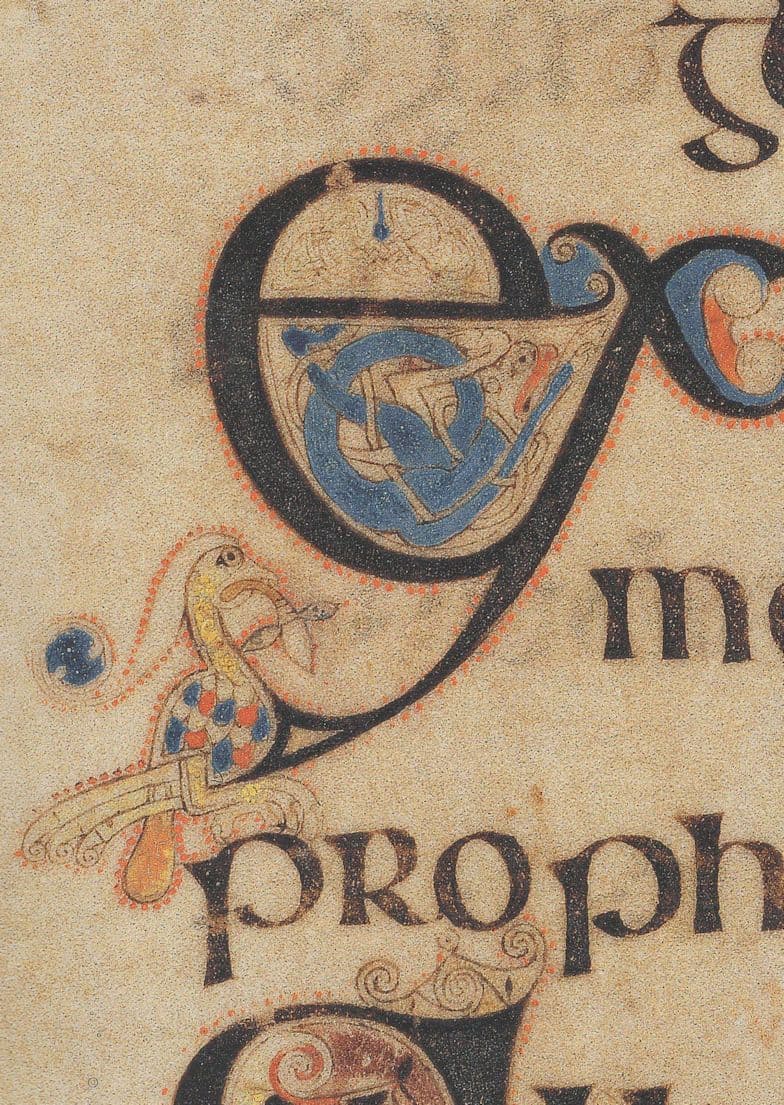 Book Of Kells Dove With Olive Branch St John 7.40 Postcard