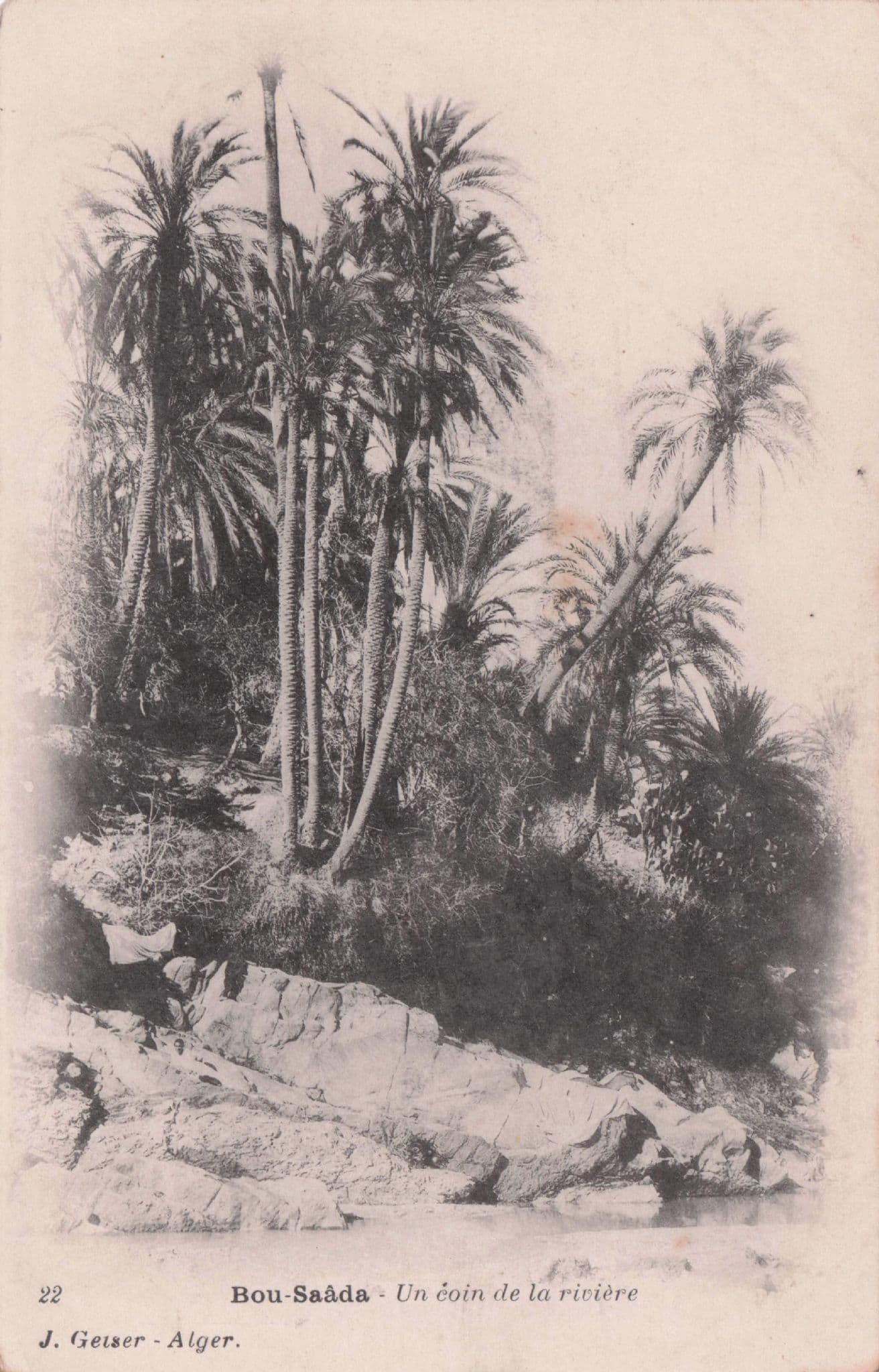 Bou Saada Un Coin De La Riviere Alger Old Postcard