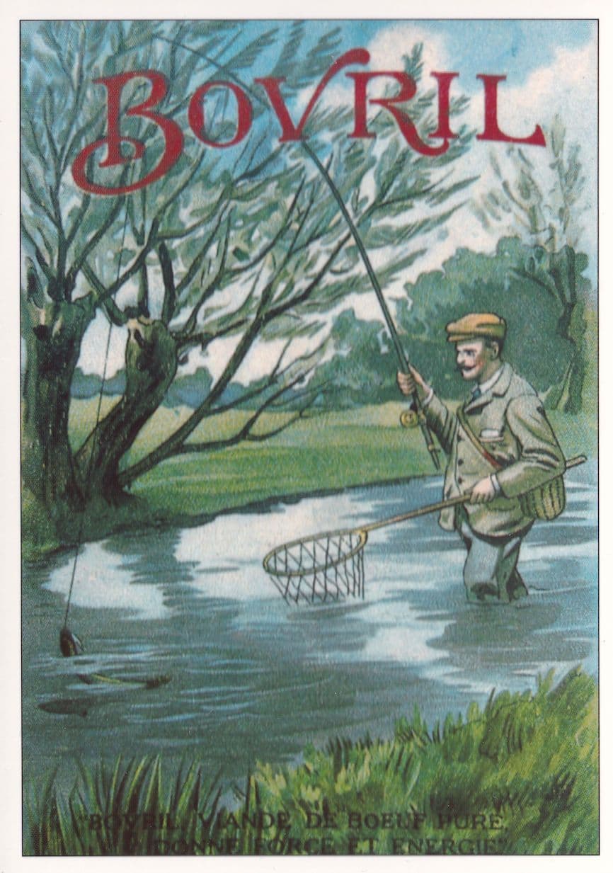 Bovril Drink Fishing Fisherman Advertising Postcard