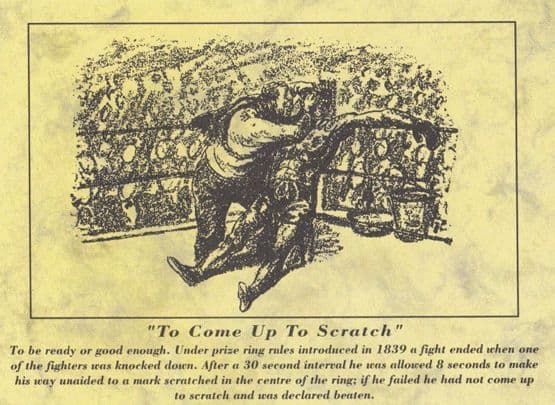 Boxer To Come Up To Scratch Winning Fighter Postcard