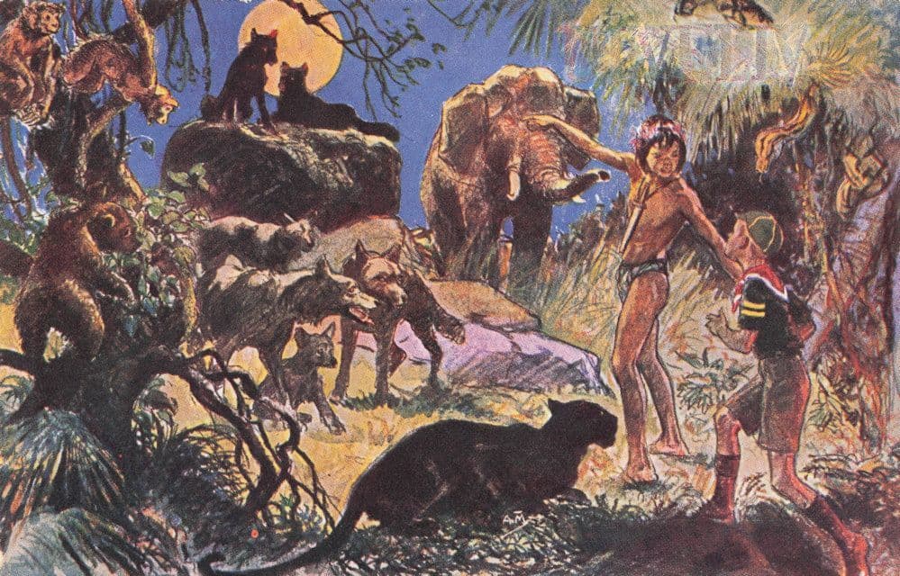 Boy Scout Jungle Adventure Scouting Antique Rare Painting Postcard