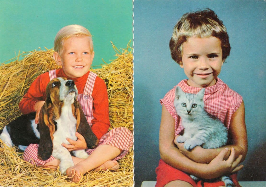 Boy With Basset Hound Child With Kitten Cat 2x 1960s Postcard s