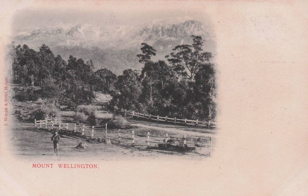 Boy With Rifle Gun Mount Wellington Tasmania Australia Old Postcard
