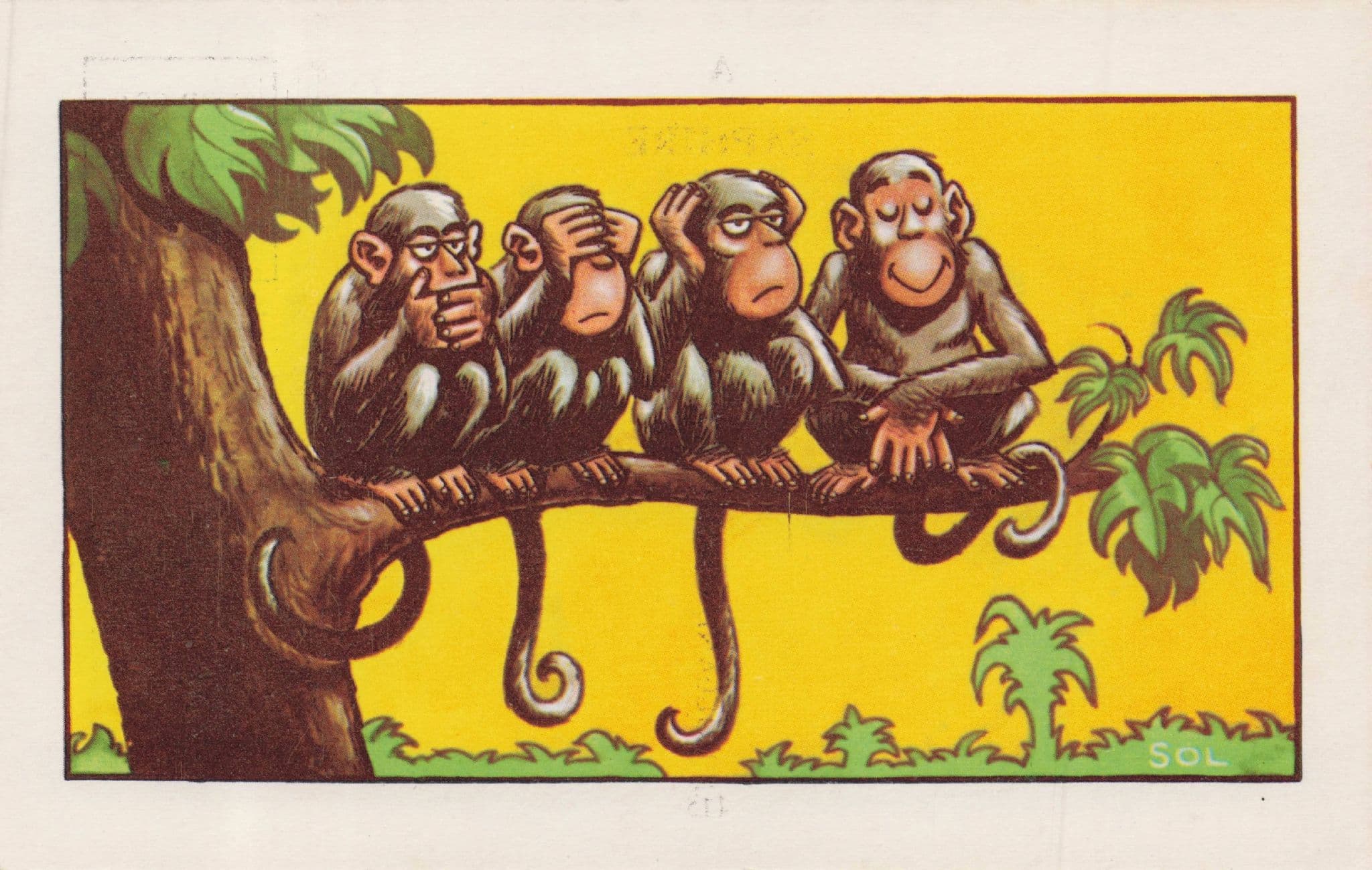 Branch Tree Full Of Chimpanzee Monkey 1970s Comic Postcard