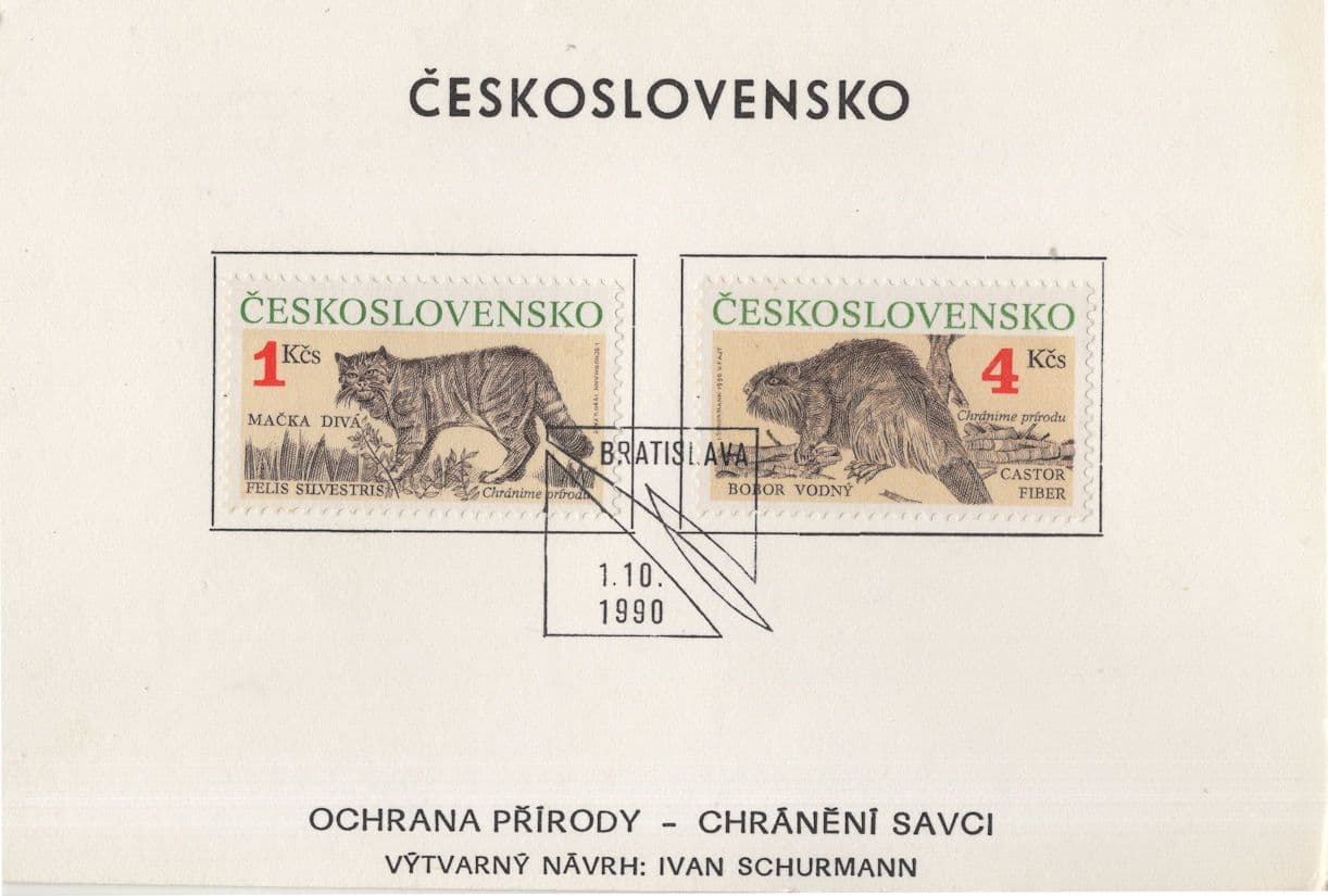 Bratislava Cat Prowling Slovakia Rare PB Postcard First Day Cover