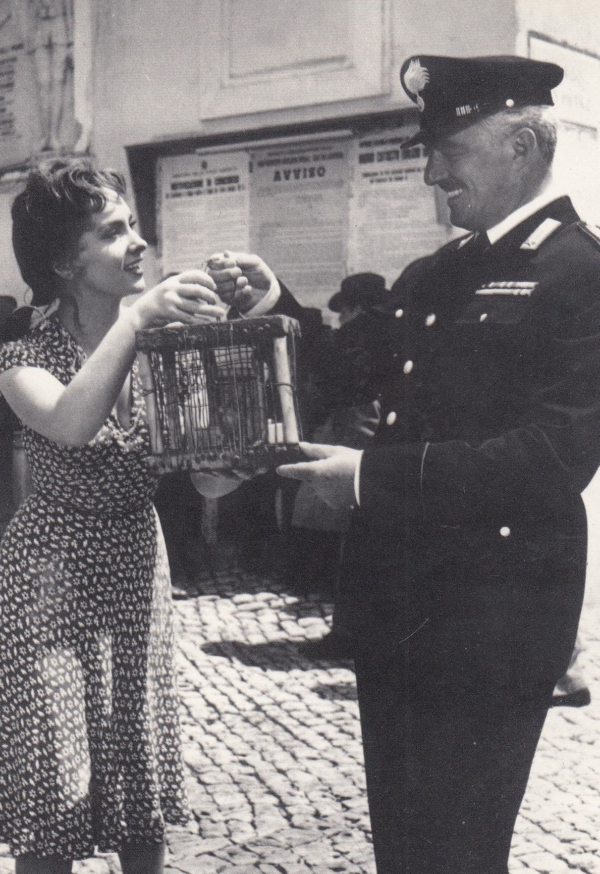 Bread Love & Jealousy Gina Lollobrigida Luigi Comencini Military Movie Postcard