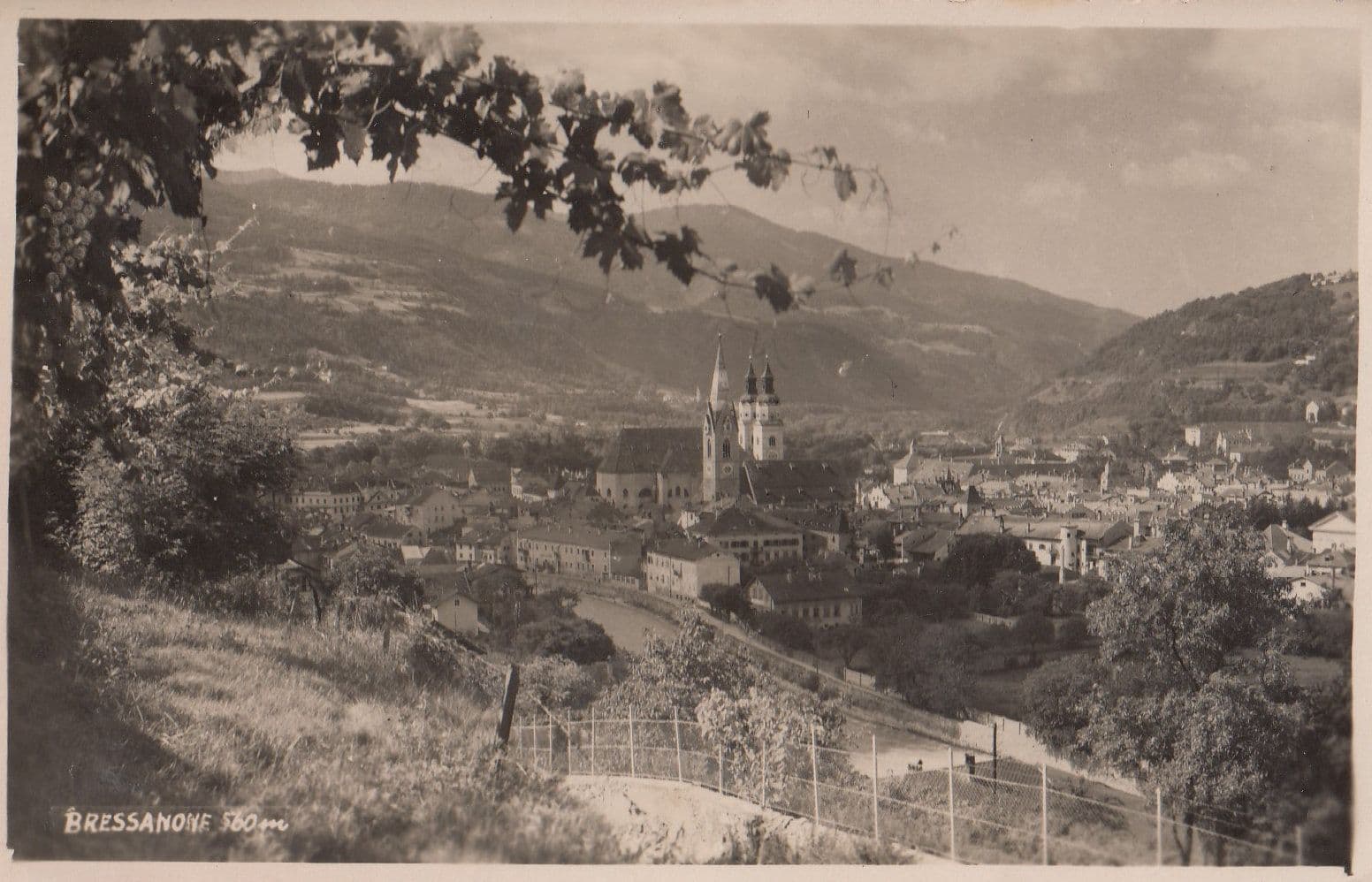 Bressanone Real Photo & Asinello Della Palme Col Cristo 2x Postcard s