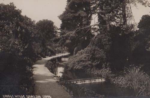Bridge House Dawlish Devon Old Real Photo Postcard