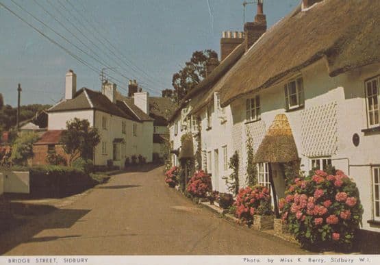 Bridge Street Sidbury Rare Womens Institute Postcard