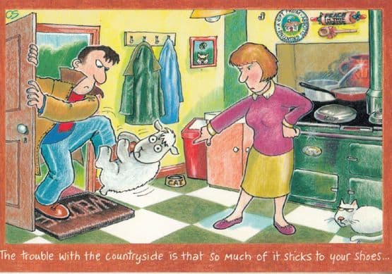 British Countryside Animal Farm Poos Toilet Stick To Shoes Comic Humour Postcard