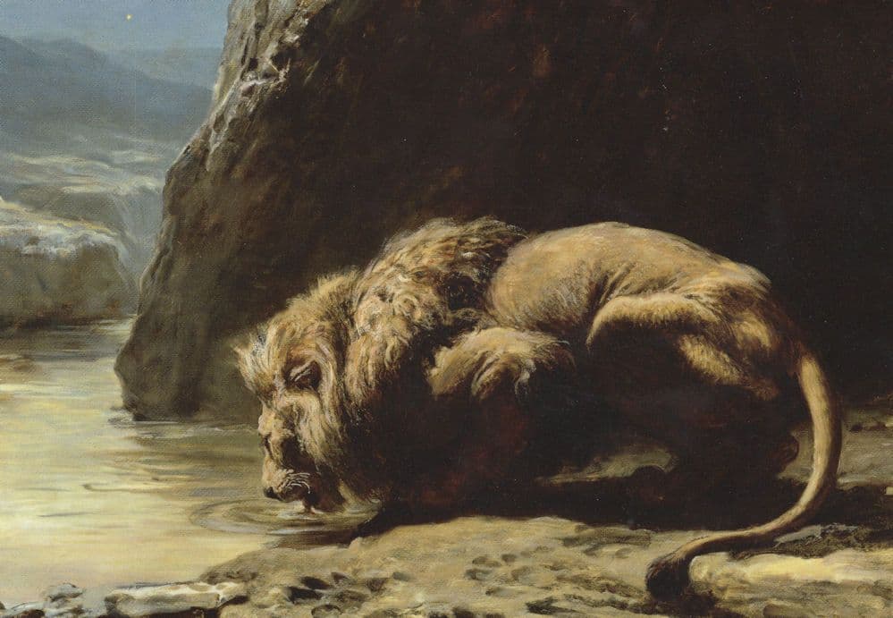 Briton Riviere The King Drinks Victorian Lion Painting Postcard