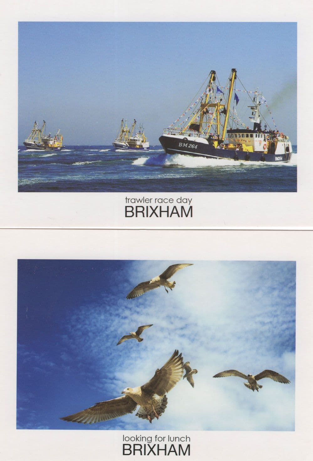 Brixham Trawler Race Day Fishing Birds Hunting 2x Postcard s