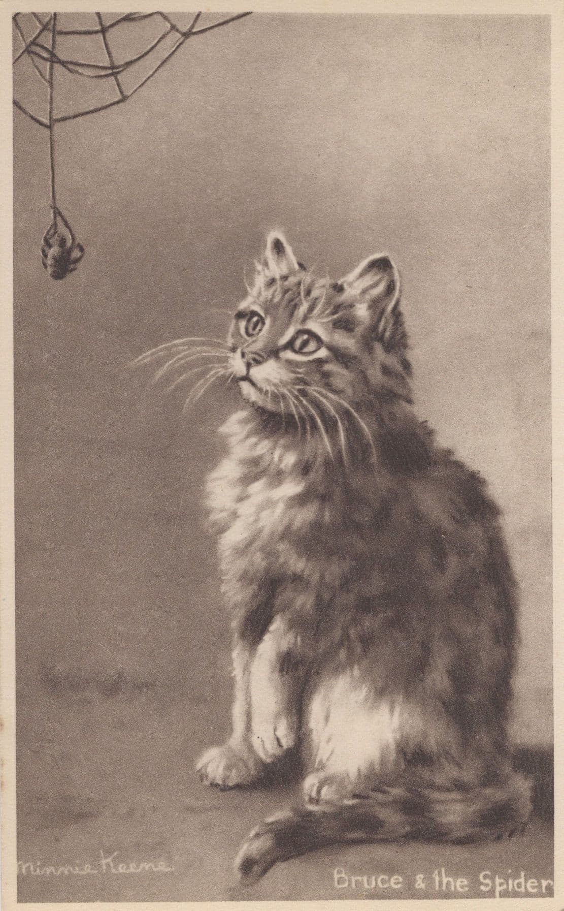 Bruce & The Giant Spider Spinning A Spiders Web Old Kitten Cat Postcard