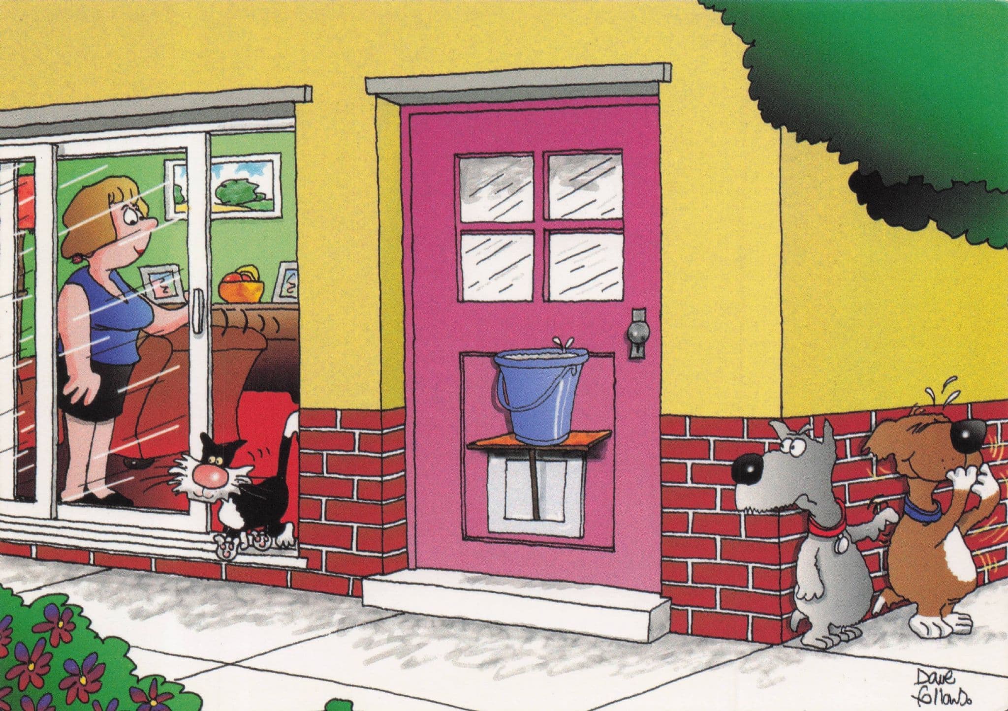 Bucket Of Water Cat Trap Animal Dogs Neighbours Comic Postcard