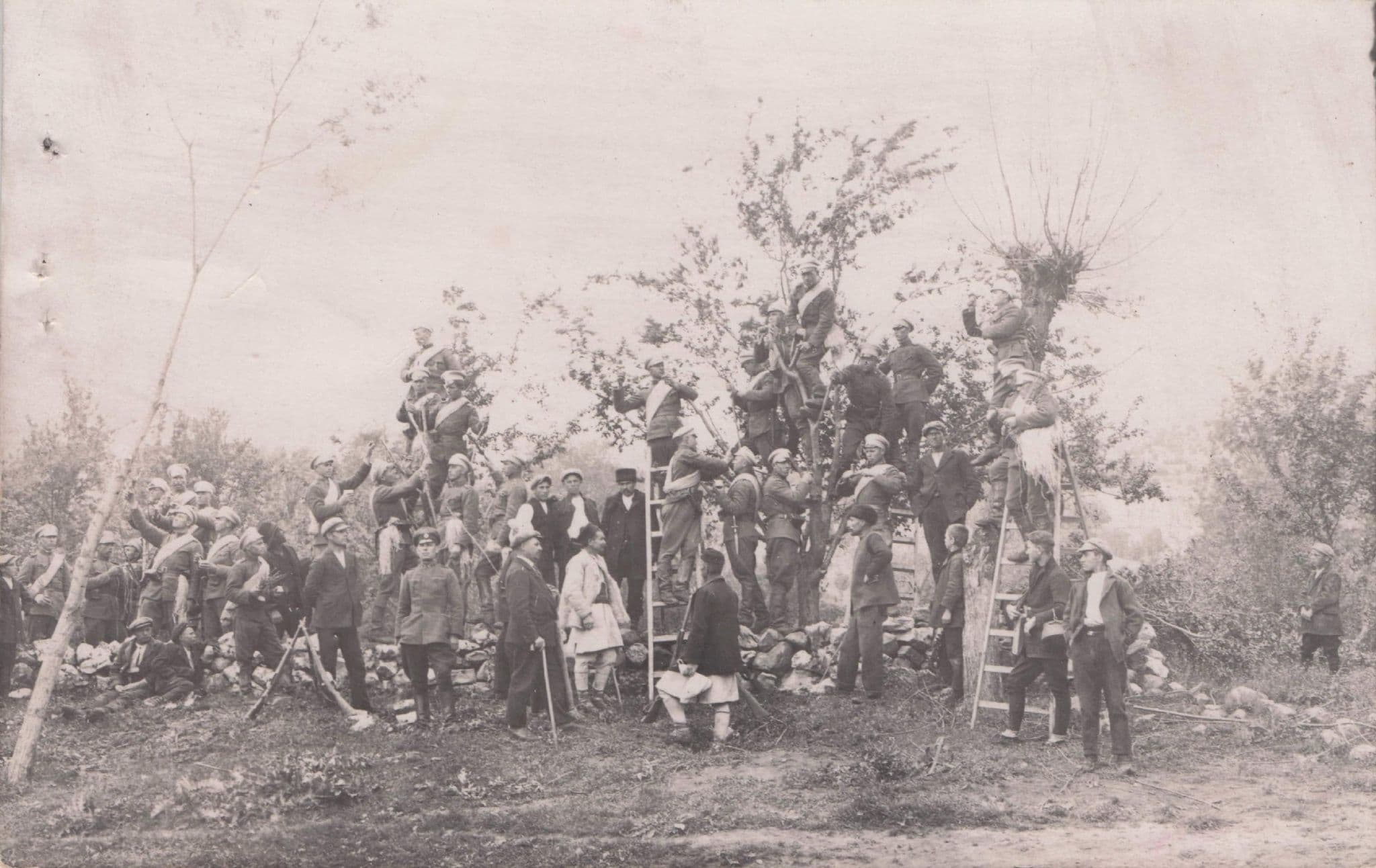 Bulgarian Tree Workers Antique Industry Old Bulgaria Postcard