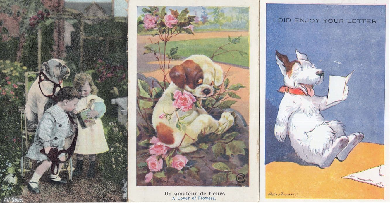 Bulldog Raiding A Biscuit Tin 3x Old Dog Comic Postcard s